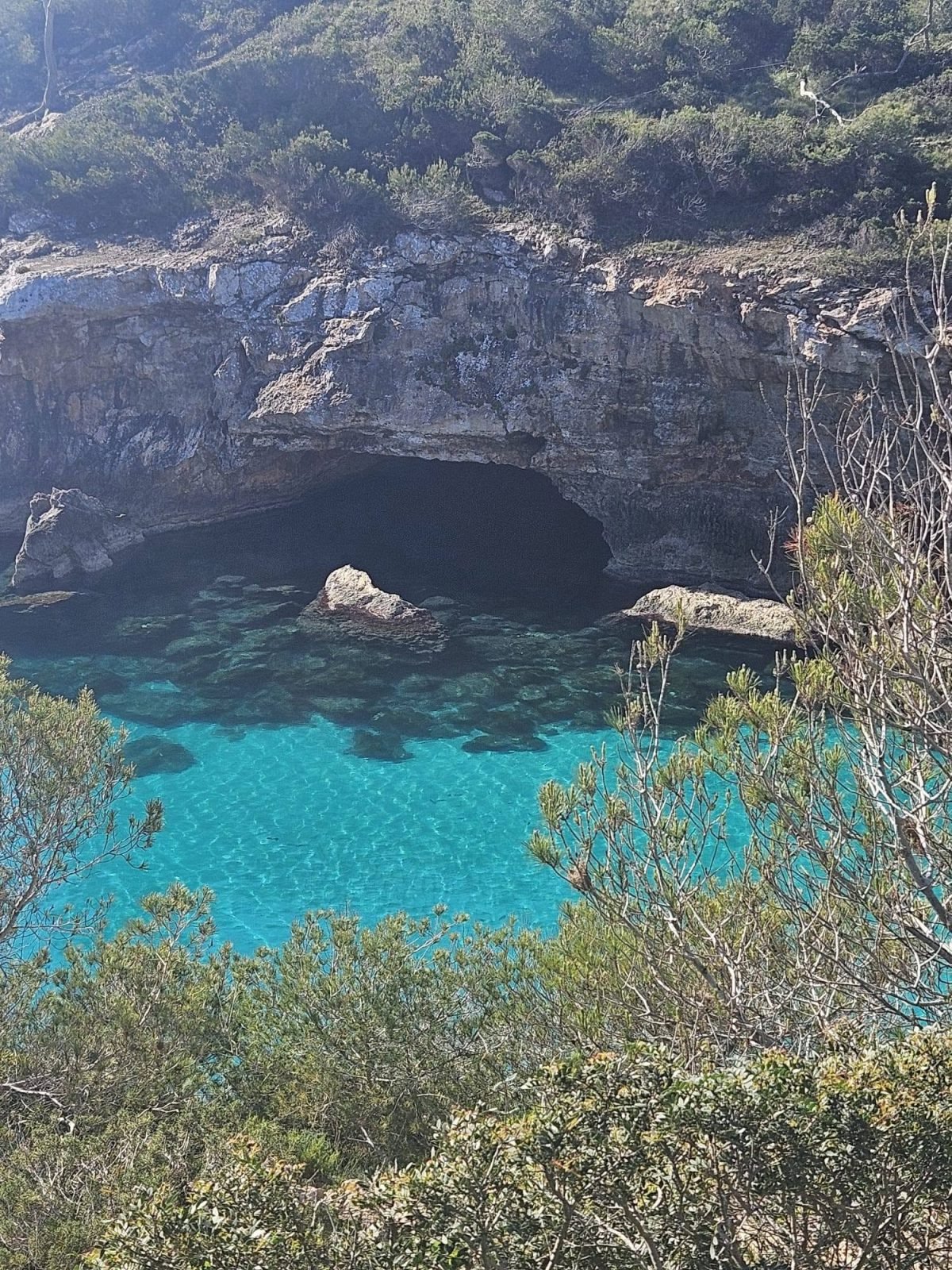 Aguas turquesas y cueva marina en Cabrera