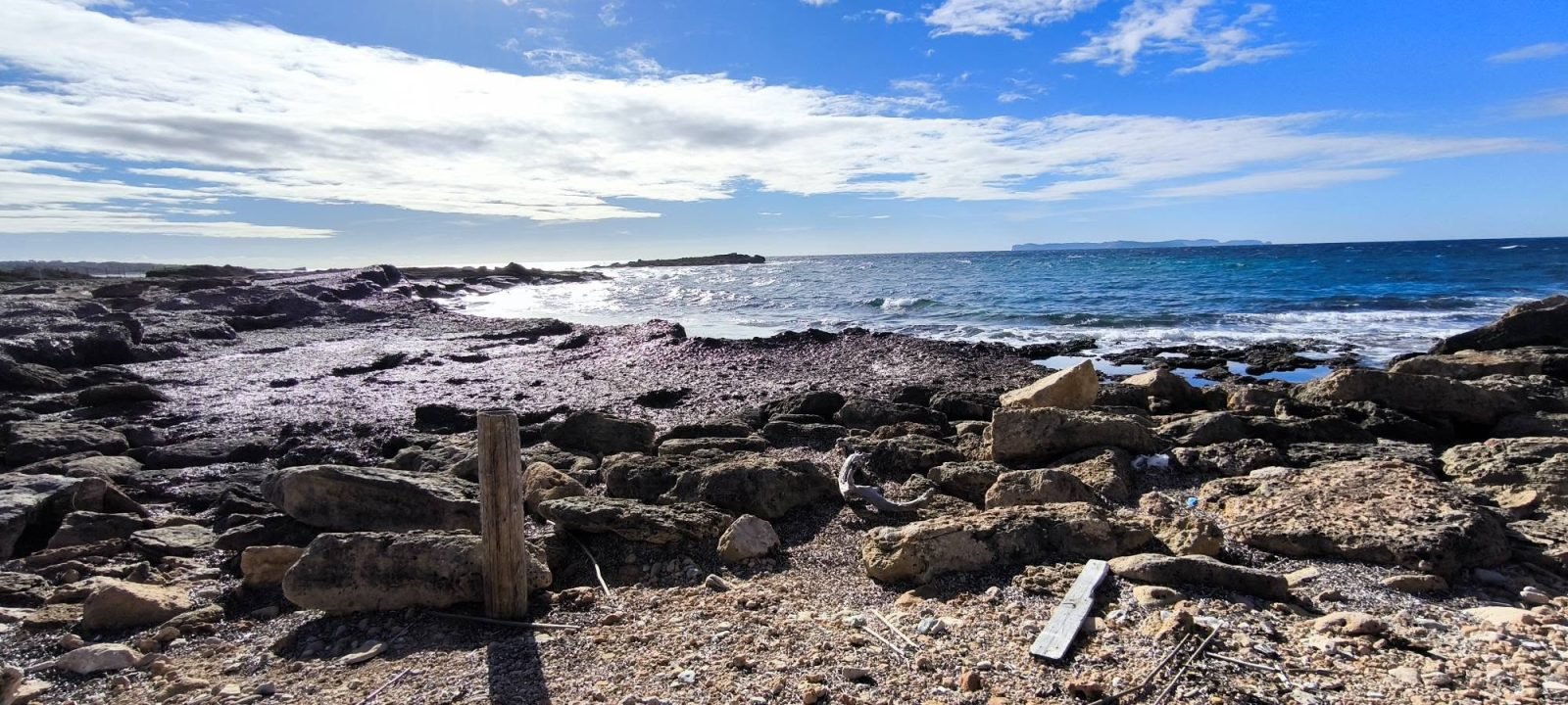 Costa, cuevas y calas — Domingo · costa de Mallorca